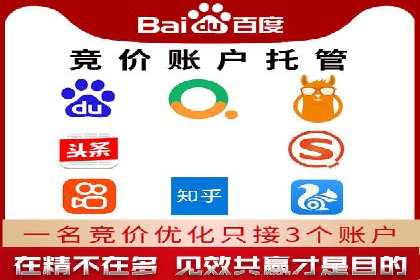 sem托管服务实战案例：精准定位，广告投放效果显著